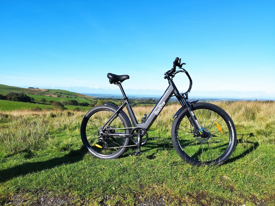 RooDog Avatar Electric Mountain&nbsp;Bike