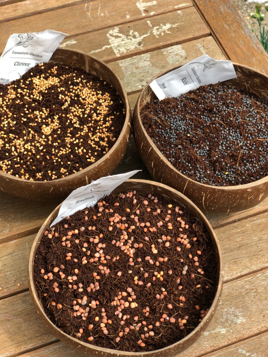 Immature Garden – Home Grown&nbsp;Microgreens