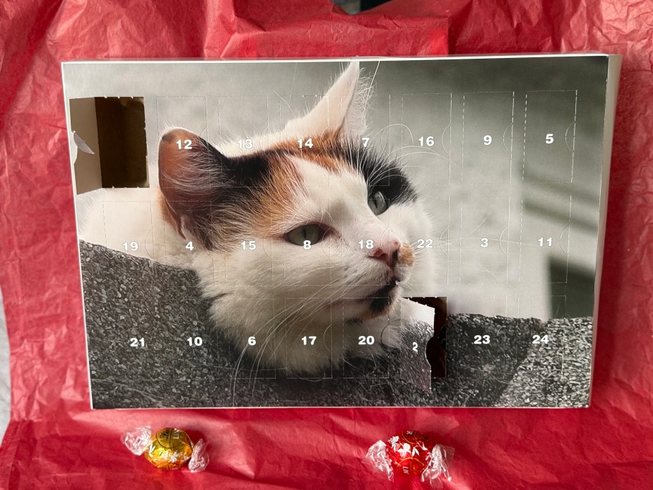 Customisable Advent Calendars from&nbsp;Vistaprint